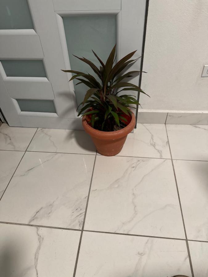 Second Floor 2Br Apt In The Center Of Santurce Lejlighed San Juan Eksteriør billede